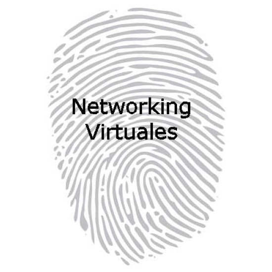 Networking Virtuales
